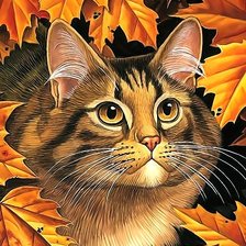 Схема вышивки «Кот»