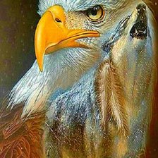 Схема вышивки «Хищники»