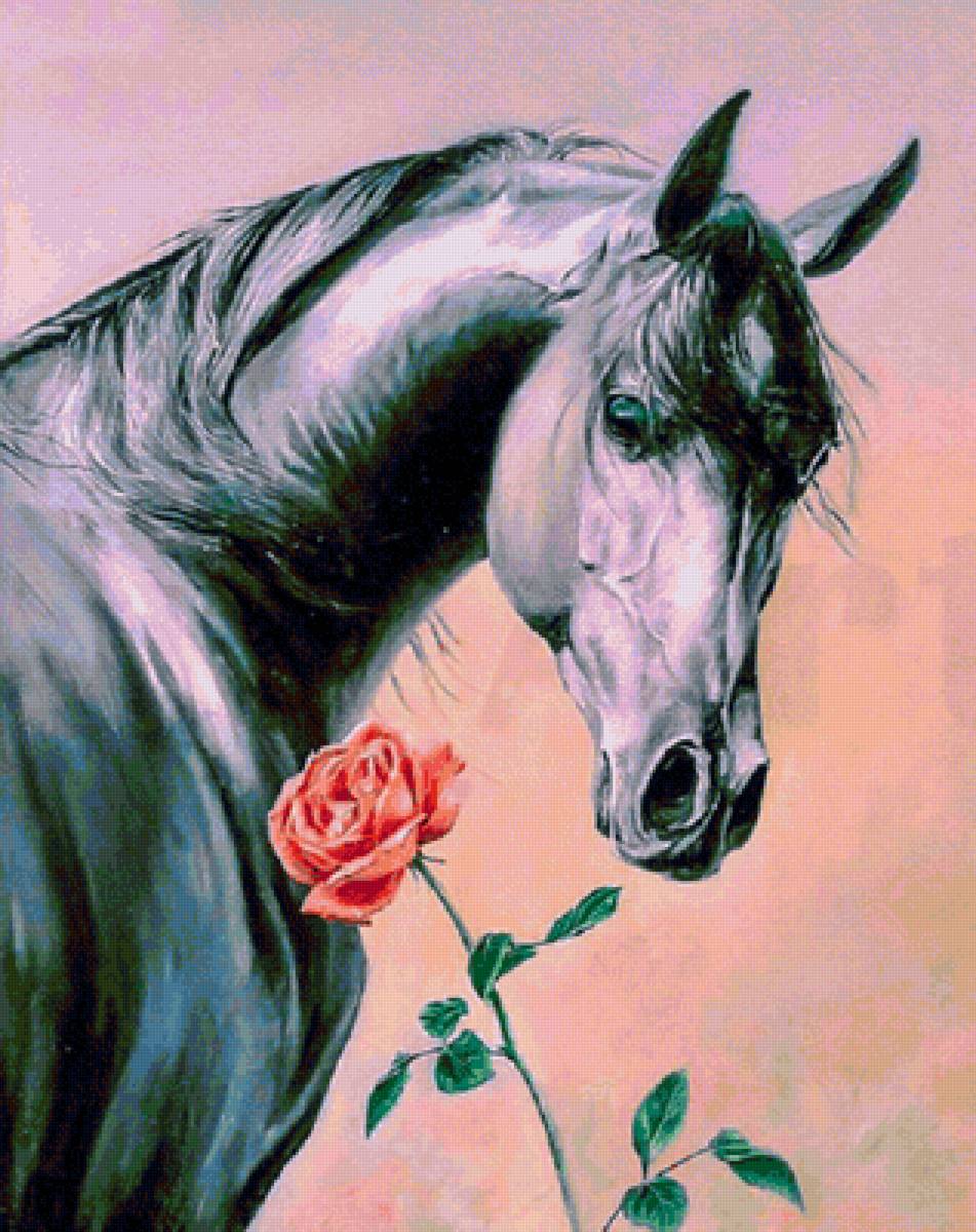 Красавец - предпросмотр