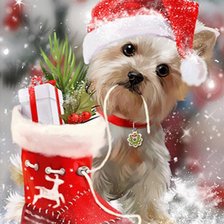 Новогодний йорик