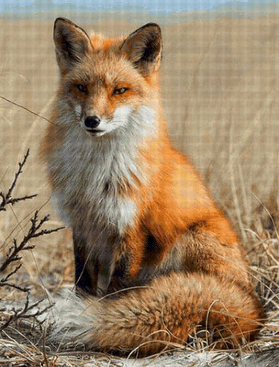 Лисица - предпросмотр