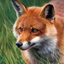 Схема вышивки «Рыжая»