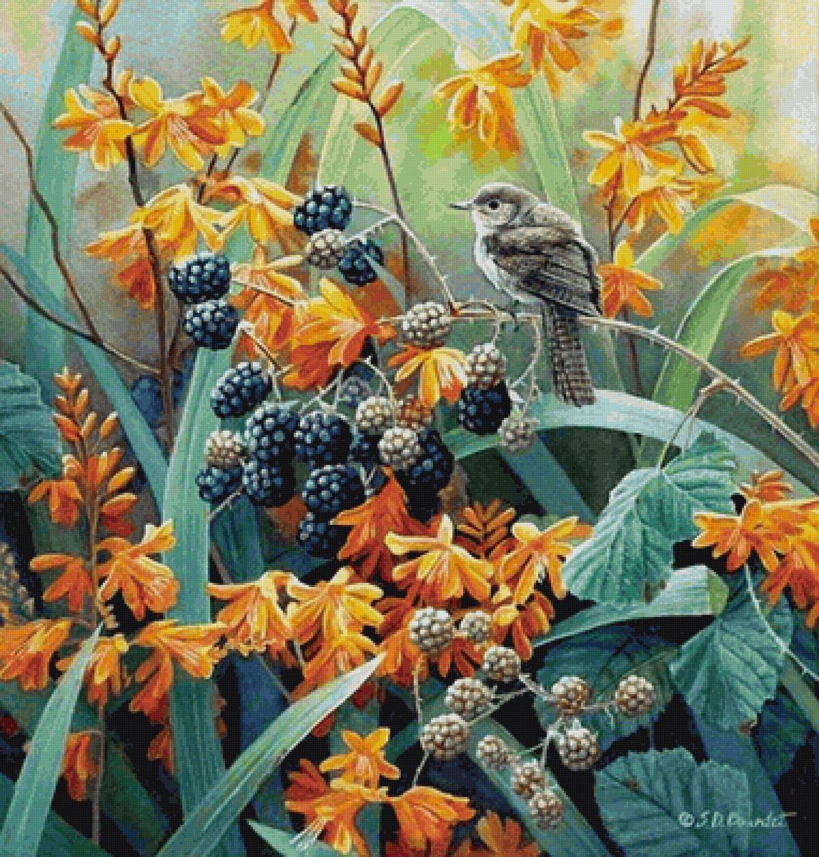 малина - живопись, сьюзен барде, птицы - предпросмотр