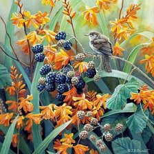 Схема вышивки «малина»