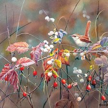 Схема вышивки «ягоды»