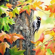 Схема вышивки «дятел»