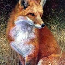 Схема вышивки «Лисичка»