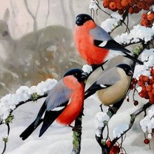 Снегири