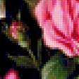 Предпросмотр схемы вышивки «Boque de flores.» (№2367170)