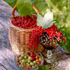 Схема вышивки «дары лета»