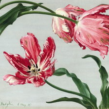 Схема вышивки «тюльпаны»