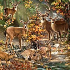 Схема вышивки «Семья оленей»