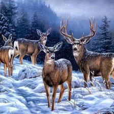 Схема вышивки «Олени зимой»