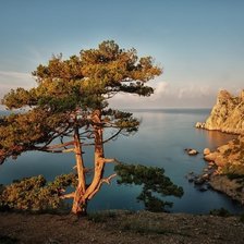 Схема вышивки «№2367784»