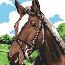 Схема вышивки «caballo»