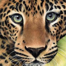 Схема вышивки «Леопард»