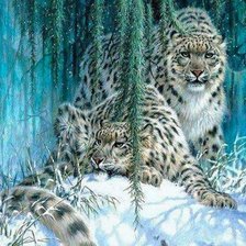 Схема вышивки «Снежные барсы»