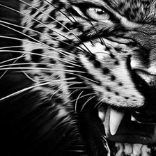 Схема вышивки «Леопард (монохром)»