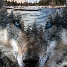 Схема вышивки «Житель леса»