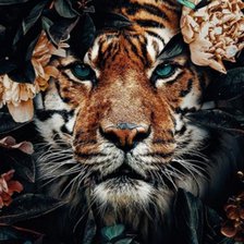 Схема вышивки «Тигр»