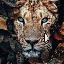 Схема вышивки «Львица»