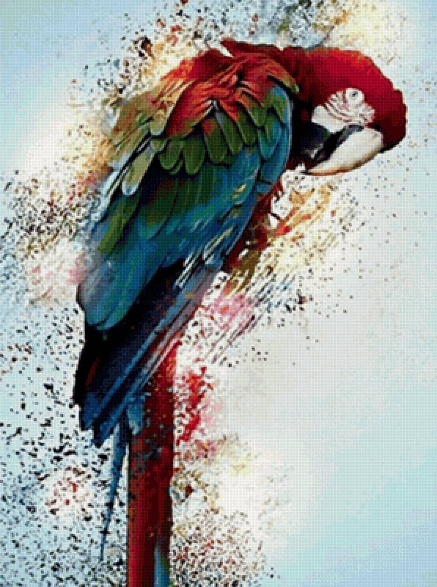 Ара - акварель, разноцветный, ара, попугай - предпросмотр