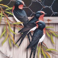 Схема вышивки «Pássaros .»