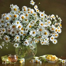 Схема вышивки «Boque de camomila.»