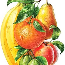 Схема вышивки «Фрукты»