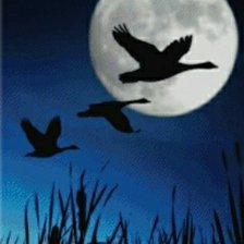 Схема вышивки «№2369472»