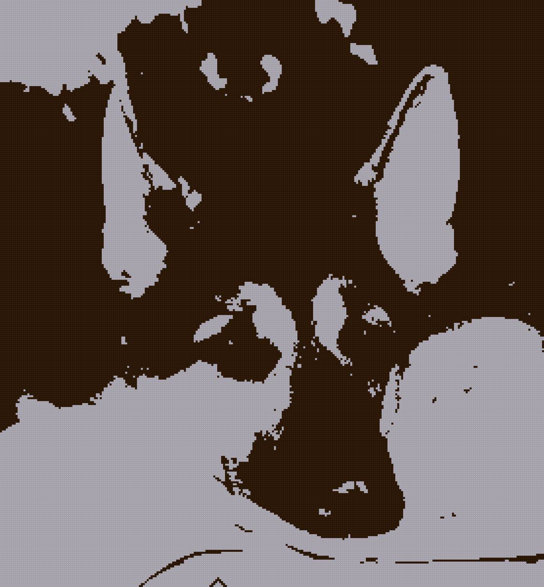 Мой друг Мухтарушка - предпросмотр