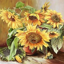 Подсолнухи