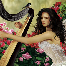 Схема вышивки «№2370800»