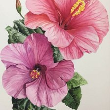 Схема вышивки «Гибискус»