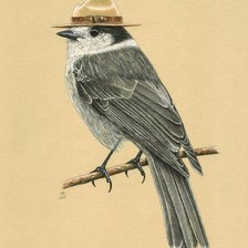 Схема вышивки «Кукша в шляпе»