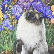 Схема вышивки «Кот в цветах»