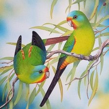 Схема вышивки «Pássaros .»