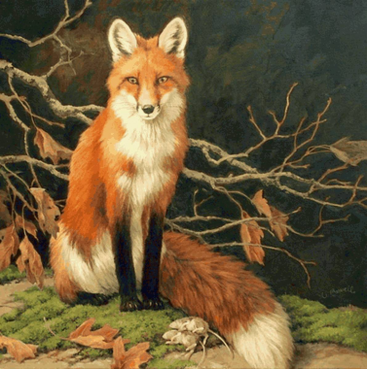 Raposa. - animais. - предпросмотр