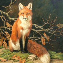 Схема вышивки «Raposa.»