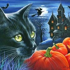 Схема вышивки «Gato.»