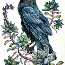 Схема вышивки «Corvo.»