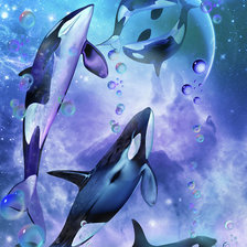 Схема вышивки «orcas»