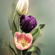 Схема вышивки «tuli»