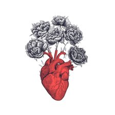 Схема вышивки «Сердце»