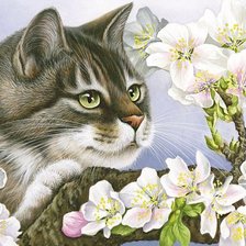 Схема вышивки «Кот в цветах»