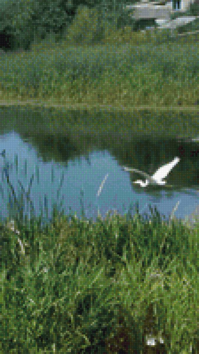 Мой берег - река - предпросмотр