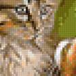 Предпросмотр схемы вышивки «Коты» (№2372496)