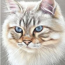 Схема вышивки «Кот»