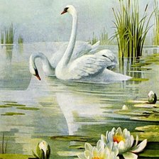 Схема вышивки «Пара лебедей»