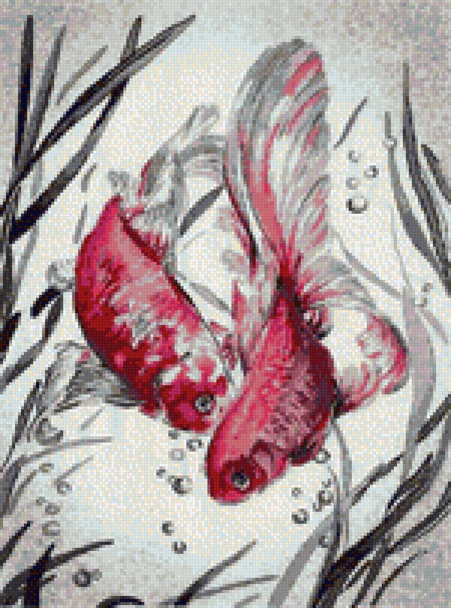 Рыбки кои карпы - рыбка рыба карп карпы кои - предпросмотр